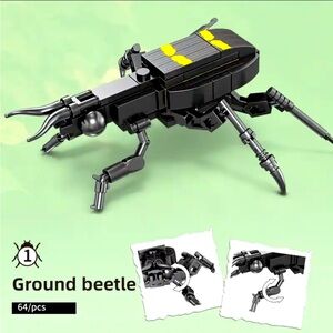 Ground Beetle 🪲 Insect Series Bug Collection